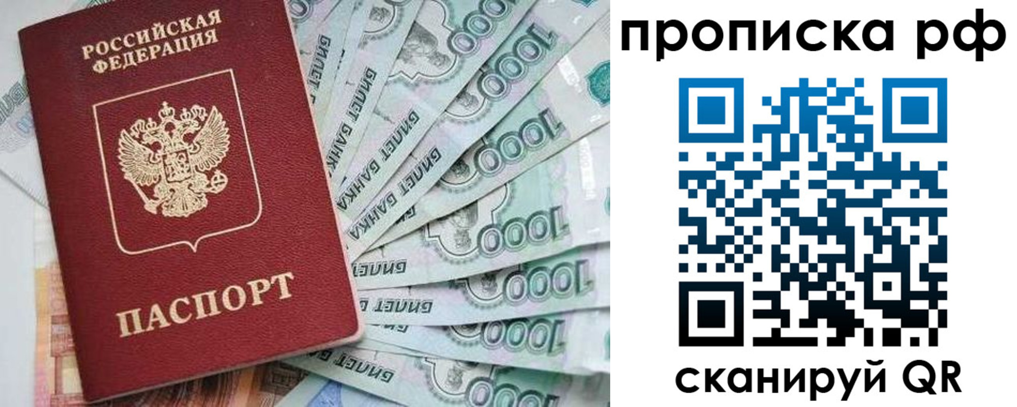 прописка законно в Североморске